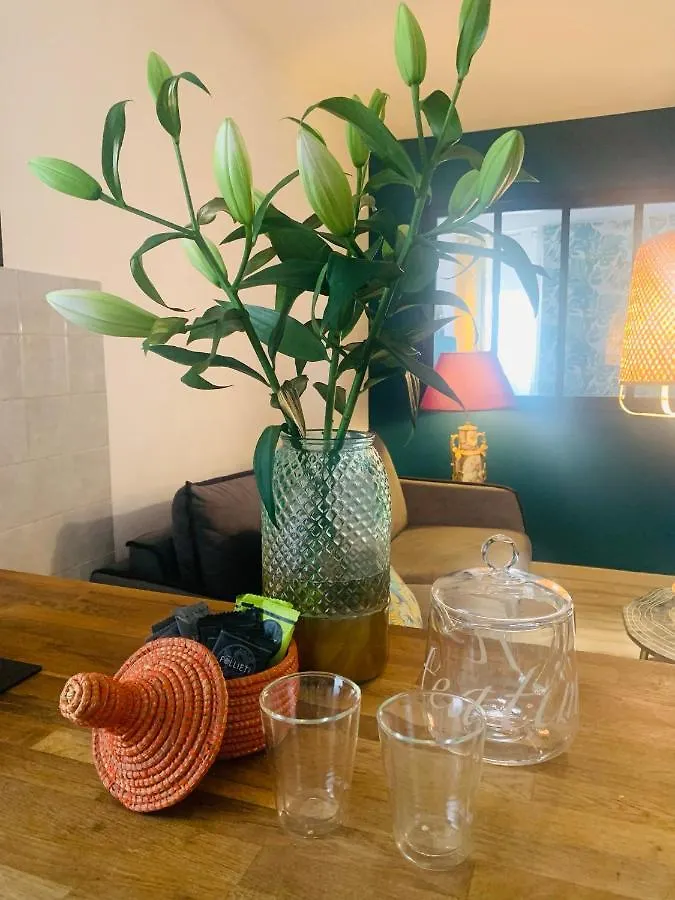 Appartement Cosy Le Balloon Avec Wifi Annonay